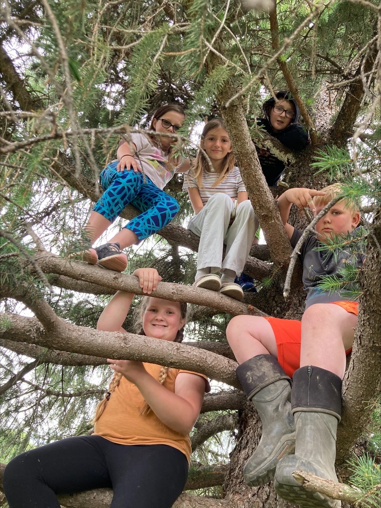 Kids in a tree